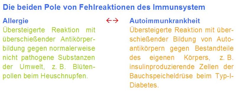 Die beiden Pole von berreaktionen des Immunsystems: Allergie versus Autoimmunitt